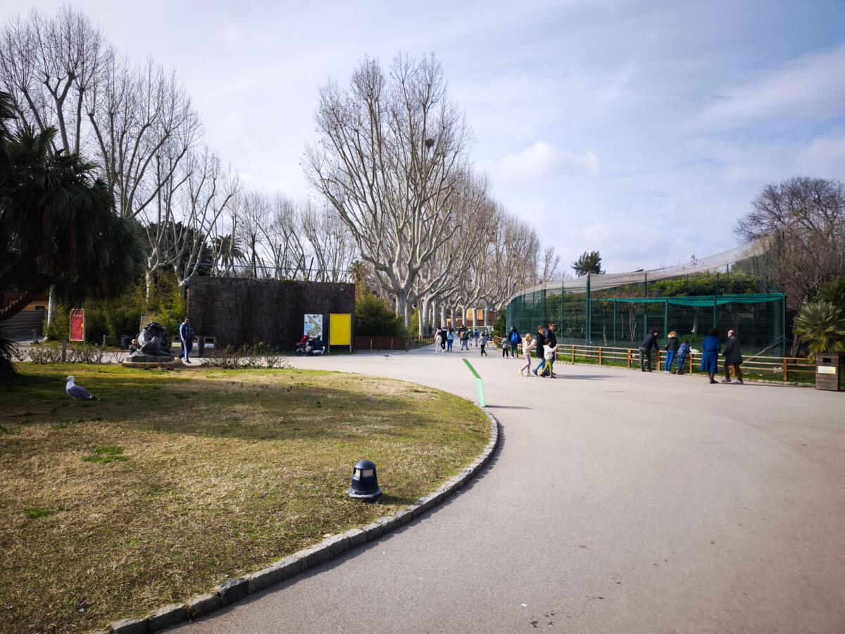 Barcelona-KfPhotography-37